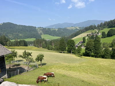 Bild 12 aus  Peterlehen