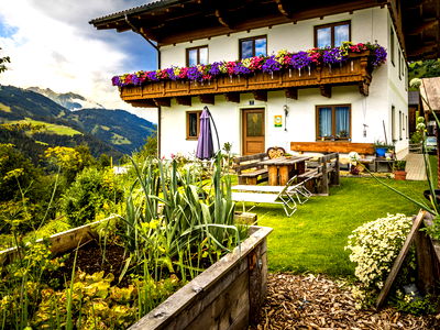 Bild 14 aus Bio Bauernhof Oberbenk