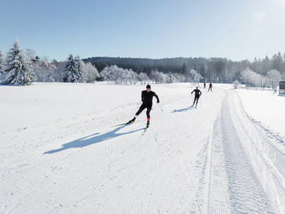 Bild 28 aus  Gut Pecketsberg