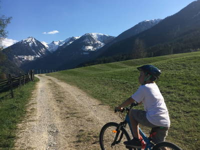 Bild 37 aus  Waldhäuslhütte