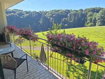 Bild 113 aus  Grabenbauer