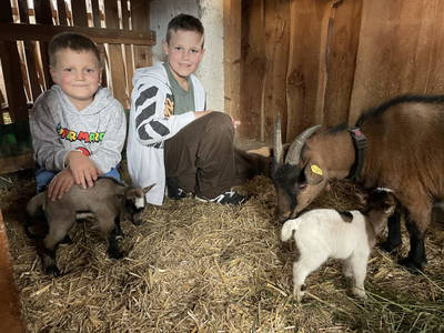 Bild 49 aus  Moarbauerhof