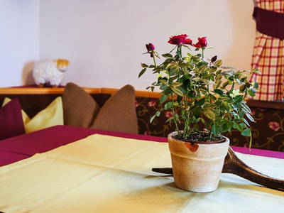 Bild 249 aus  Proneben Gut - Erlebnisbauernhof u. Kuschelhütten