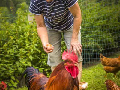 Bild 38 aus  Biobauernhof Windbachgut - Privatzimmer