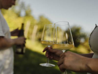 Bild 109 aus  Trattnachtaler Weinhaus