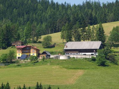 Bild 23 aus  Bauernhof Kamsker-Stuber