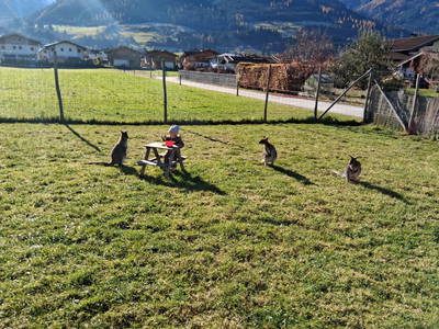 Bild 13 aus  Zillerlehen