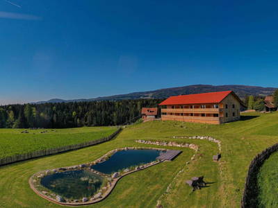 Bild 108 aus  Pircherhof - Adults Only am Biobauernhof