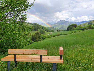 Bild 10 aus  Brettmaisserhof