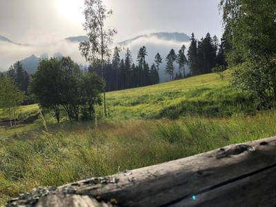 Bild 30 aus  Pferdehof Gugganig