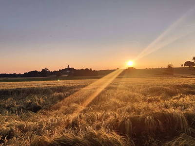 Bild 29 aus  Ferienhaus Weinviertel