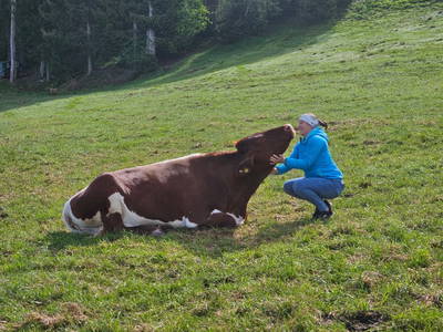 Bild 20 aus  Peterlehen