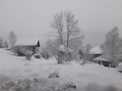 Bild 42 aus  Hof Wieser - Kinderbauernhof