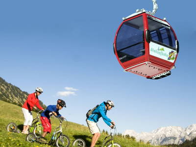 Bild 169 aus  Rimmlhof & Rimmlstube