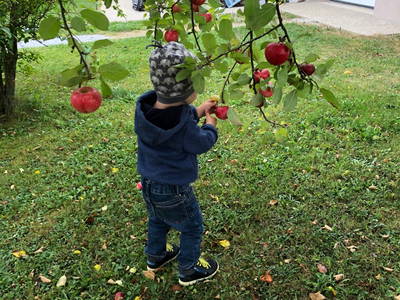 Bild 44 aus  Hacklhof