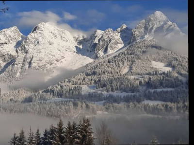 Bild 105 aus  Maierlehen