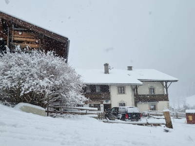 Bild 146 aus  Alfaierhof & Bergheimat