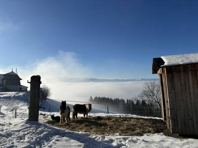 Bild 21 aus Burgerlhütte