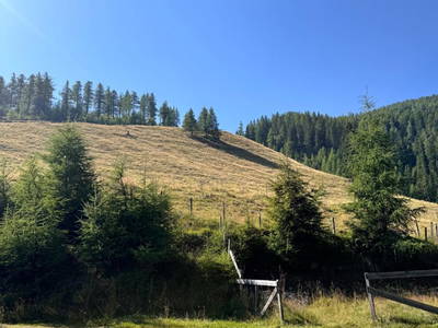 Bild 126 aus  Wallneralm