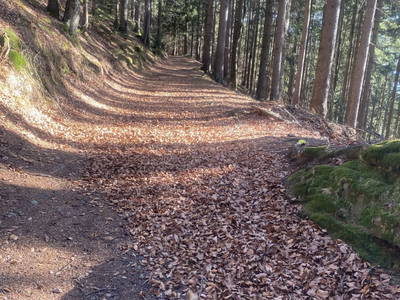 Bild 50 aus  Seewaldhof