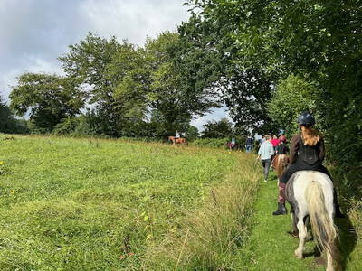Bild 26 aus  Ferienhof Sell Bauernhofurlaub Ostsee Ponys