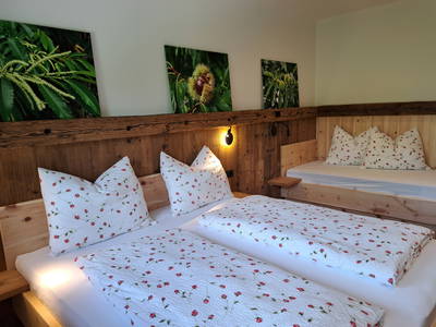 Bild 4 aus  Pignathof