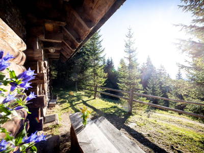 Bild 209 aus  Bischofhütten