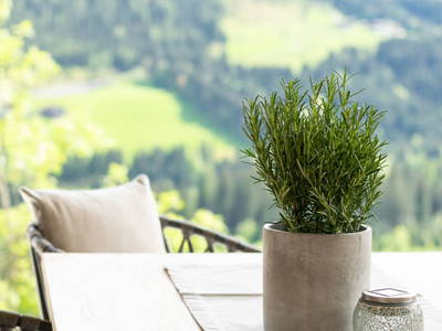 Bild 184 aus  Untersüssgut