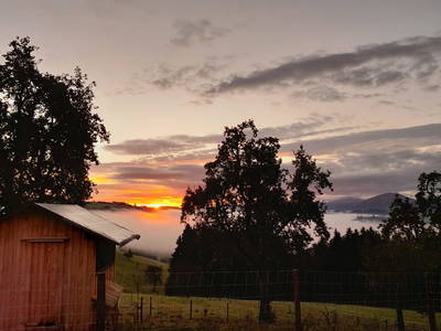 Bild 12 aus  Miniponyhof Biohof Almbauer