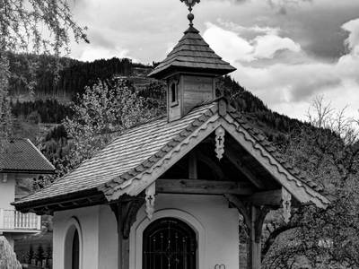 Bild 101 aus Lehenhof