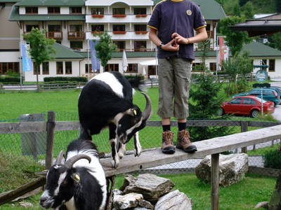 Bild 38 aus  Peilsteingut