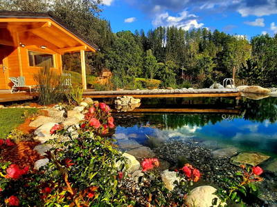 Bild 59 aus  Almchalet Nikola