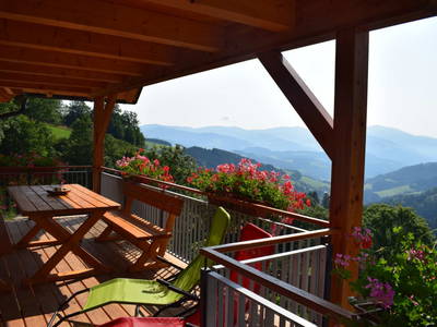 Bild 27 aus  Alm-Ferienhaus Schleinzer