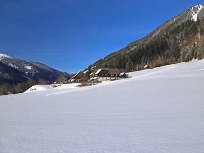 Bild 17 aus  Der Perweinhof