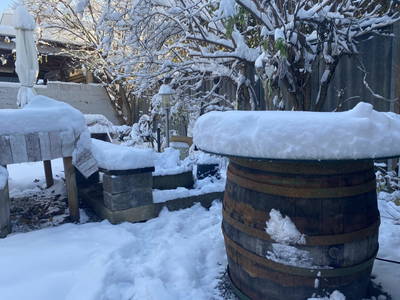 Bild 211 aus  Traubengarten Winkler