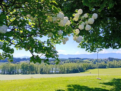 Bild 19 aus  Knoglerhof am Rinser See