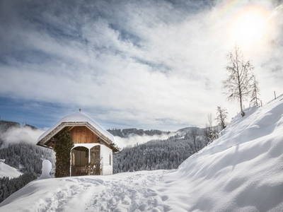 Bild 118 aus  Brennergut