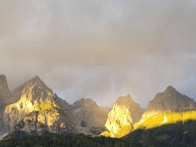 Bild 69 aus  Biohof - Einberghof