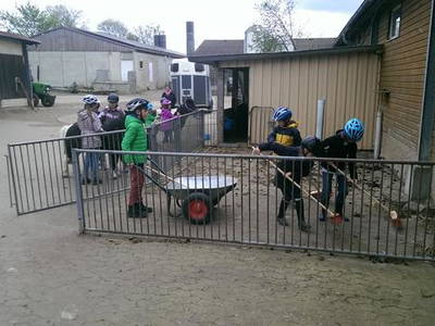 Bild 7 aus  Ferienhof Joas