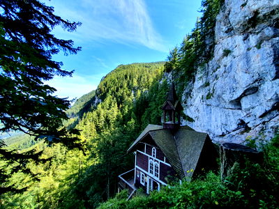 Bild 15 aus Apfelhof