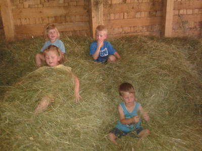 Bild 42 aus  Reitlhof am Sonnenhang   Bio-Bergbauernhof bei Salzburg 