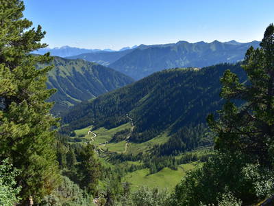 Bild 166 aus  Hoanz´nhof