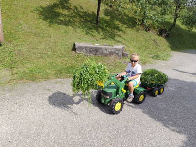 Bild 207 aus  Ferienhof Rabenreith