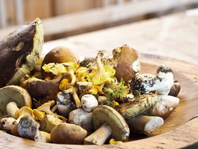 Bild 45 aus  Schloif Troadkastn