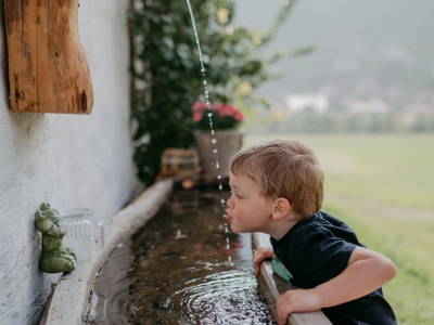 Bild 131 aus  Haarlehenhof