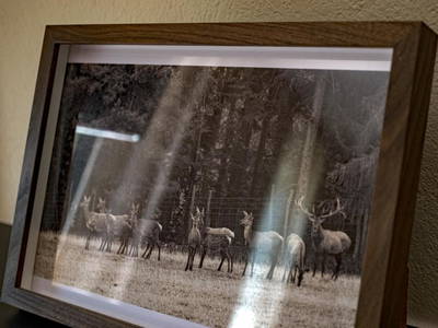 Bild 63 aus  Fuchs und Hase