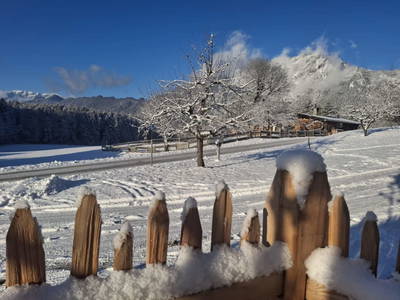 Bild 48 aus  Riedhof-Zuahaus