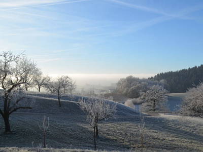 Bild 80 aus  Obergrafenberger