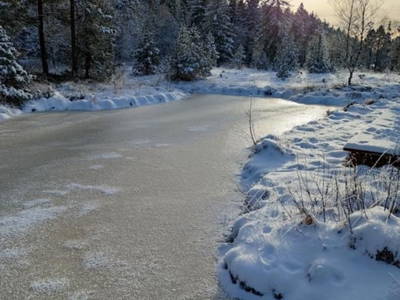 Bild 82 aus  Haus Adlerhorst