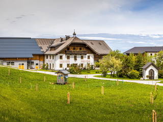 Vorderreithbauer aus Hof bei Salzburg